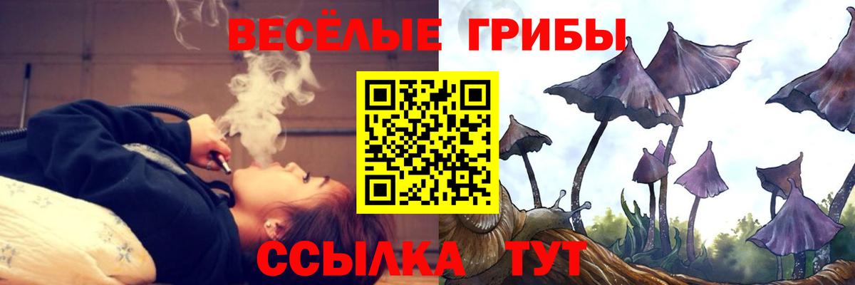 Сегежа  Галлюциногенные грибы мухоморы  цена наркотик  Вход с VPN 