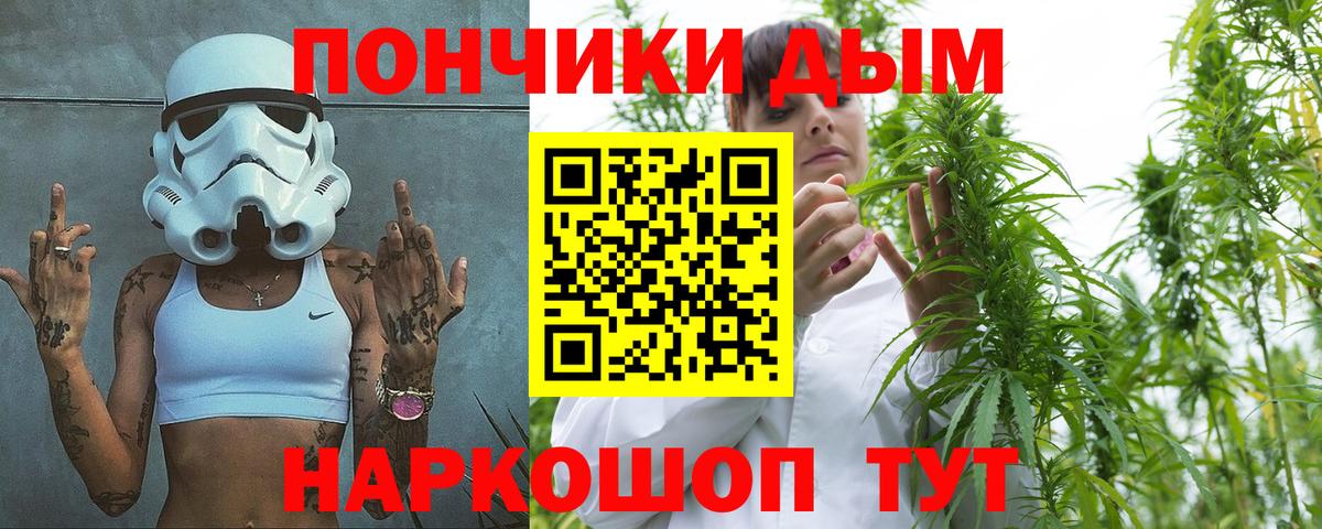 Шишки марихуана план Сегежа